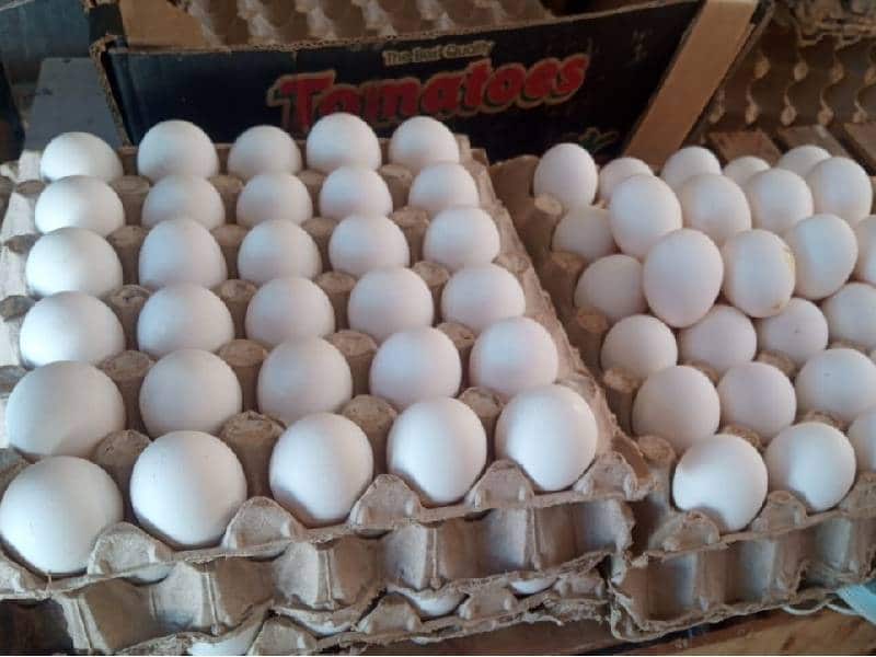 Se dispara precio del huevo, reja vale más de 70 pesos