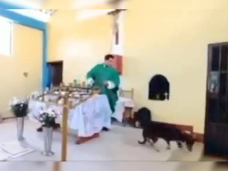 VIDEO: ¡Indignante! Sacerdote patea a perrito en plena misa