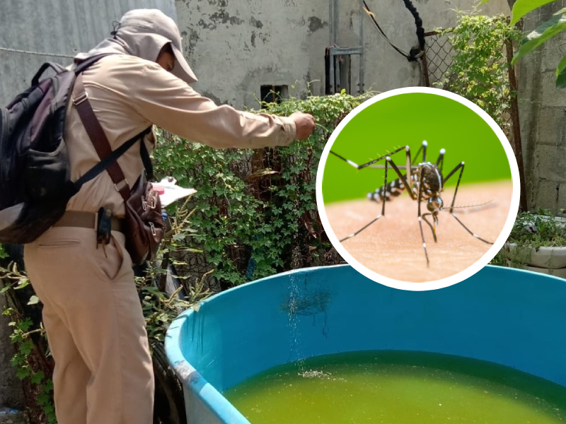 Intensifican la lucha contra el dengue en Campeche