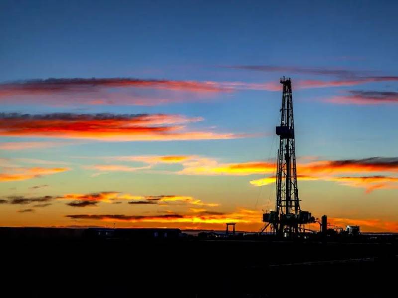 OPEP estima que la demanda del petróleo suba a un 96 por ciento