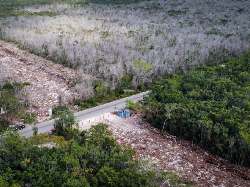 Promete AMLO que tramo 5 del Tren Maya no destruirá cenotes