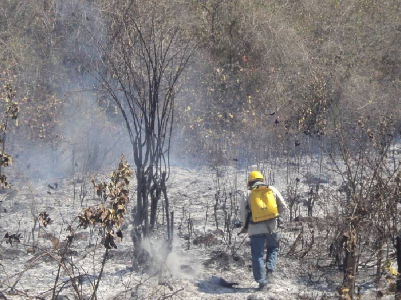 Incendio en la zona limítrofe con Campeche amenaza a la entidad