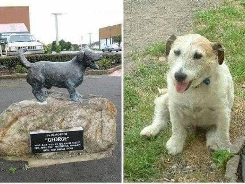 Esta es la estatua del perrito que murió por defender a niños de Pitbulls