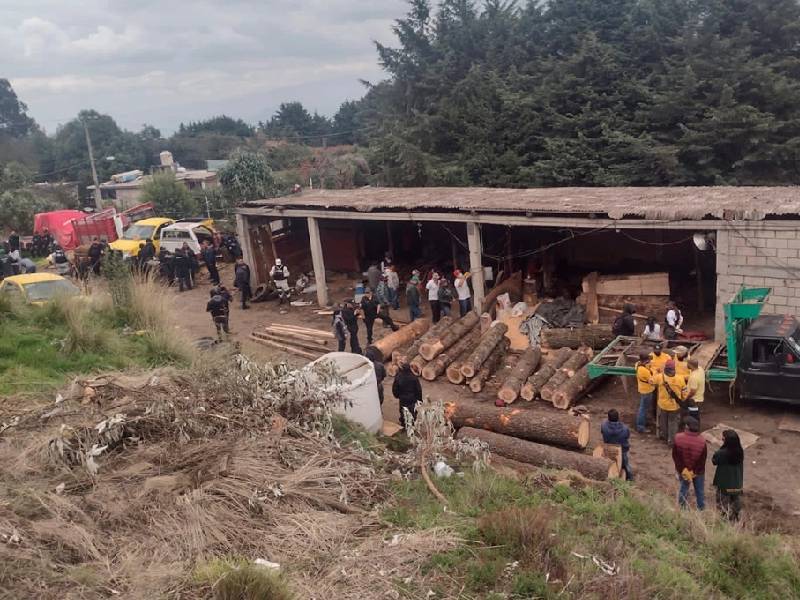 Dan golpe a talamontes; aseguran cuatro centros clandestinos de madera en el Ajusco