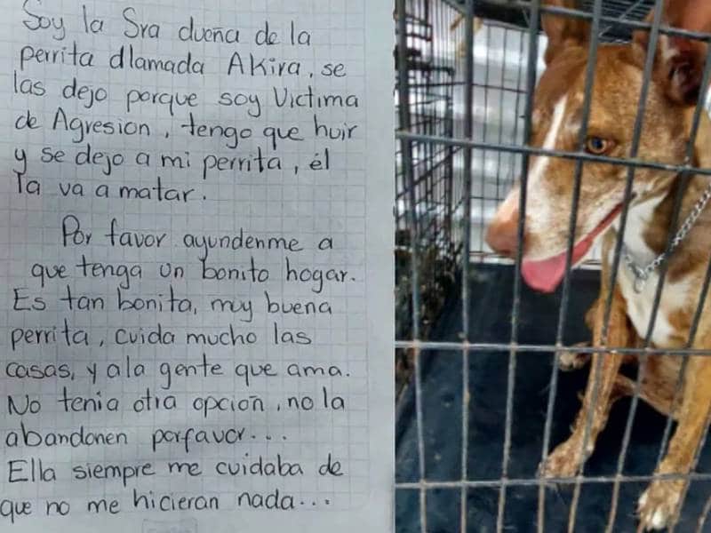 mujer abandona