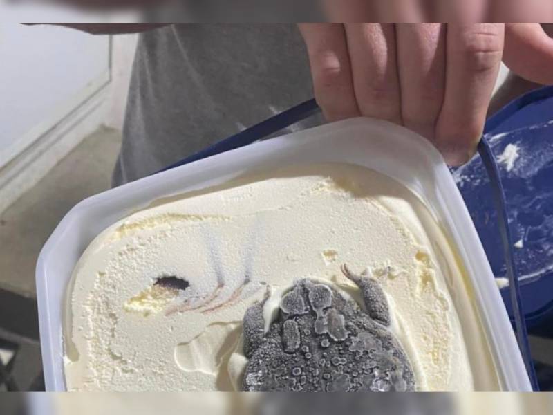 Nada tan refrescante como un bote de helado con… ¡¿sapo?!