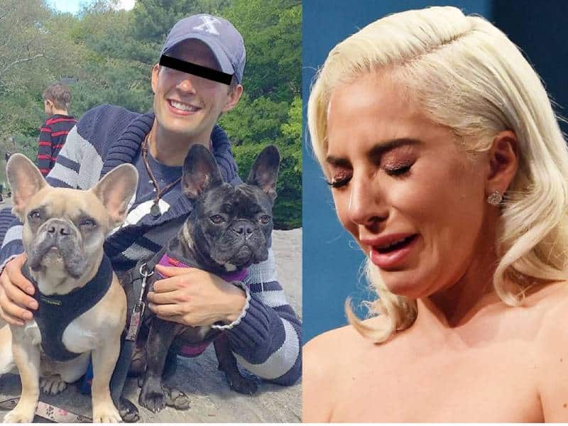 Dictan cuatro años de prisión para el secuestrador de perros de Lady Gaga