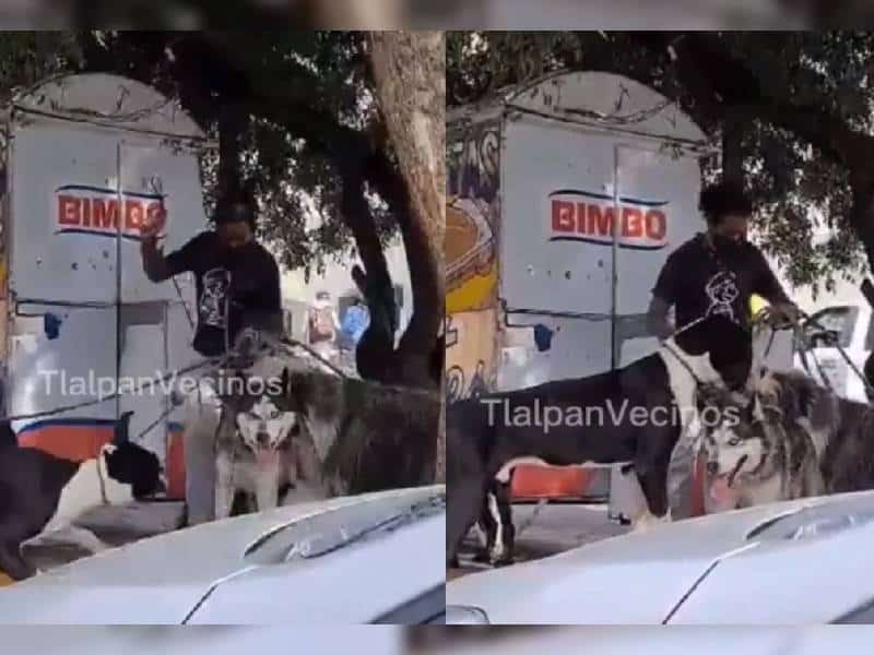 Vecinos denuncian a paseador de perros por golpearlos