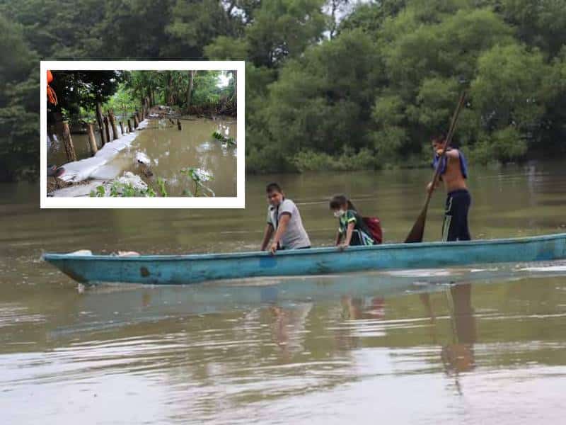Desbordamiento de río Palizada afecta cultivos, ganadería y patios