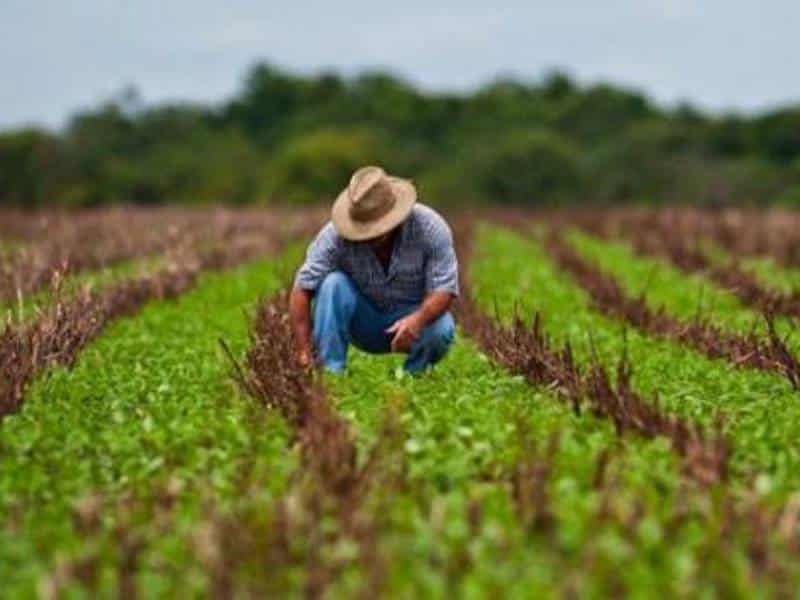 México tiene un superávit agroalimentario