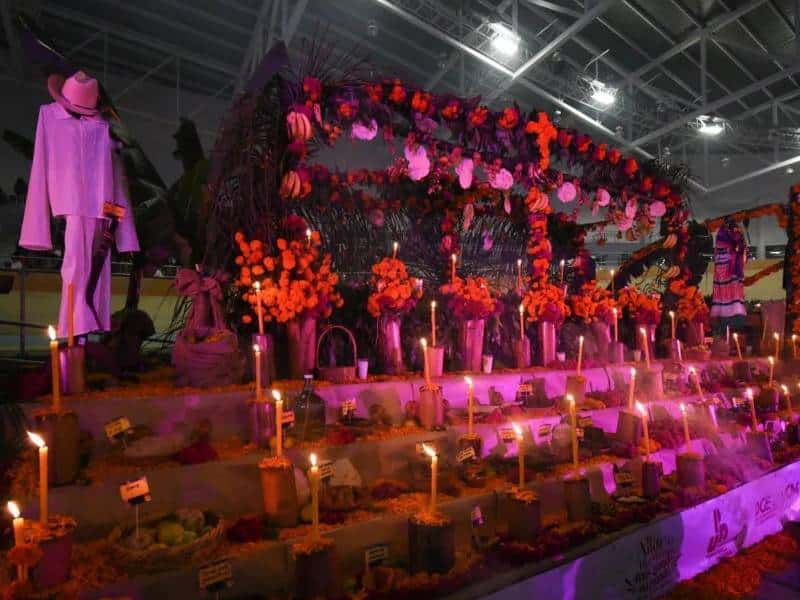 ¿Hay flores transgénicas en altares mexicanos del Día de Muertos?