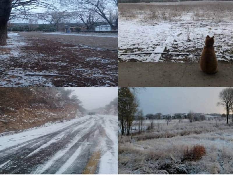 ¡Se pintó de blanco! Registran nevada en varias zonas de Chihuahua