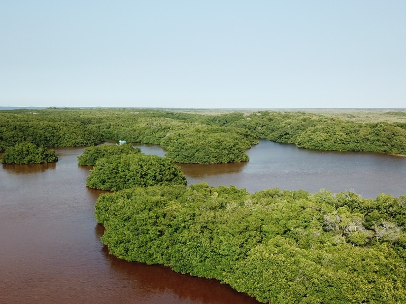 Reservas Naturales Campeche