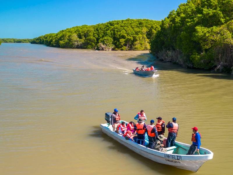 Iniciarán en febrero el dragado del río Palizada en Campeche