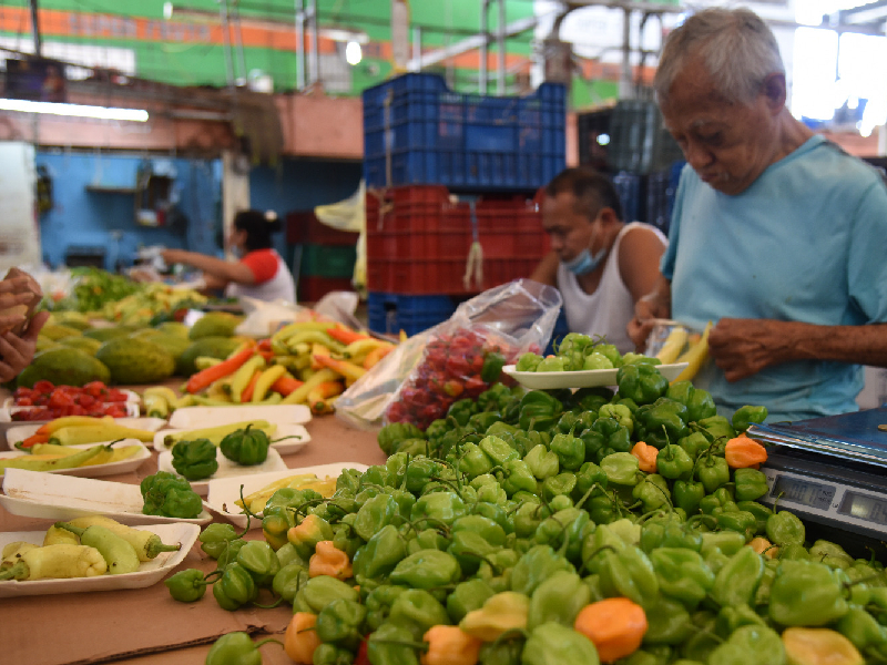 Hay una alta demanda de chile habanero en Campeche