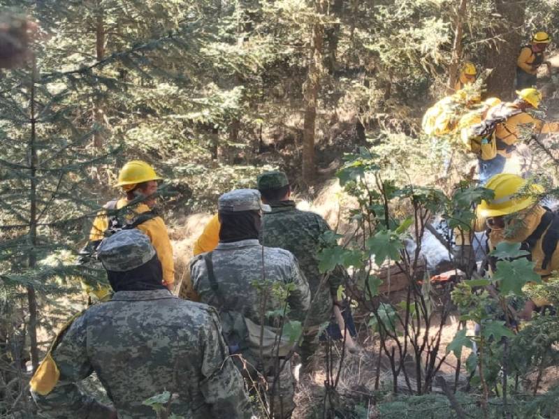 Incendio en Pico de Orizaba, ‘el más crítico de esta temporada’