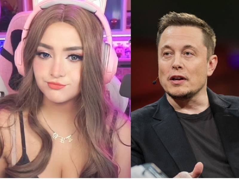 Así reaccionó Elon Musk al baile de la streamer regia Ari Gameplays