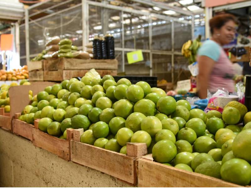 Siguen los altos precios del limón en Campeche