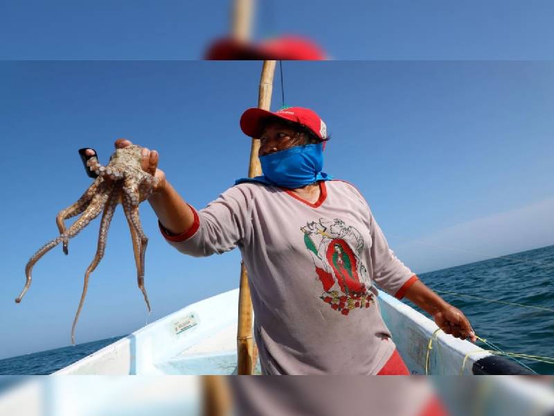 Crece actividad de la mujer en la pesca: Sader