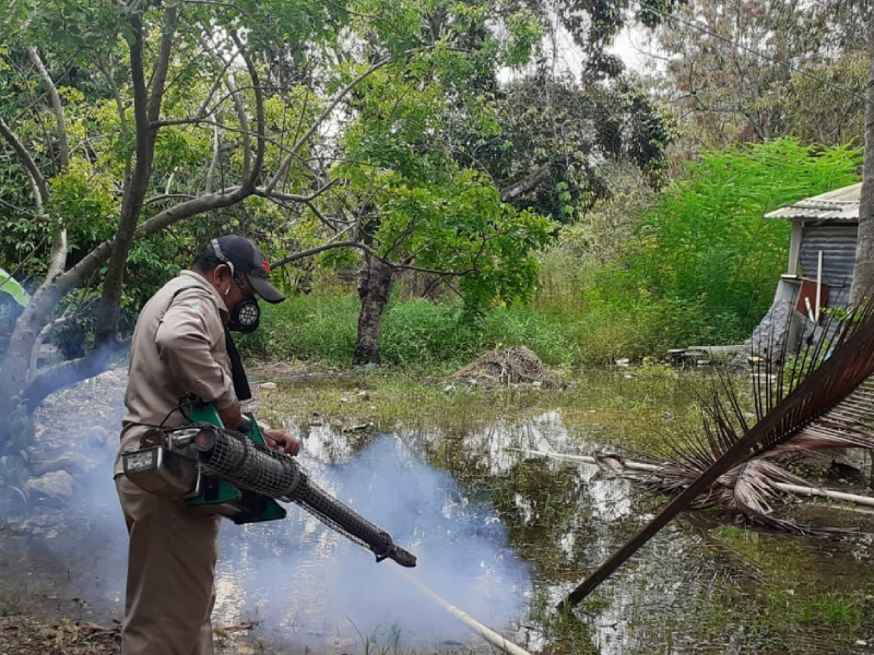 Se activa plan intensivo para la prevención del dengue