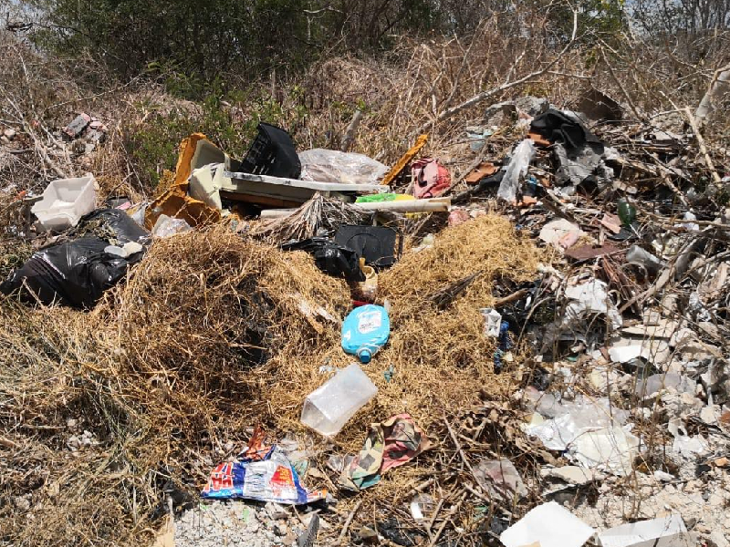 Exigen multas a dueños de lotes en malas condiciones en Campeche