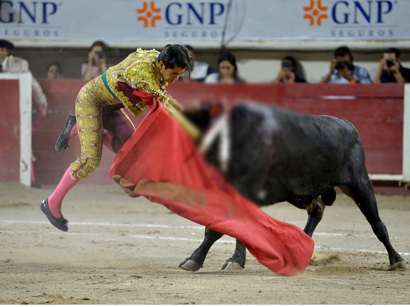 Joselito Adame es embestido en Feria de San Marcos