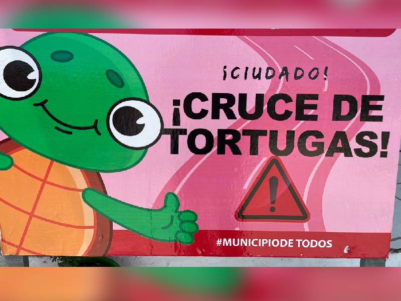 tortugas