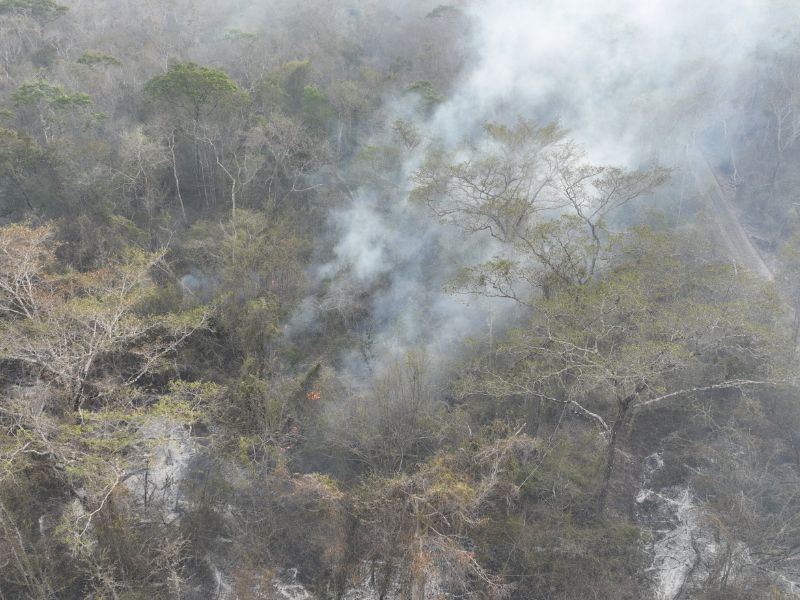 Incendio forestal en Balam Kin afecta 400 hectáreas