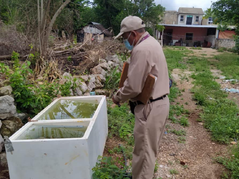 Previene dengue con plan intensivo en Carmen