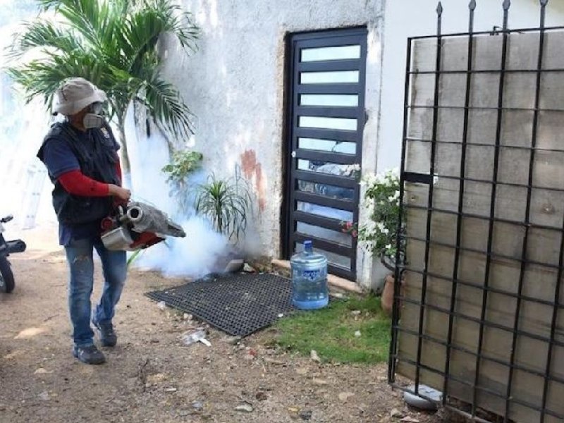 Crece números de casos de dengue en Campeche