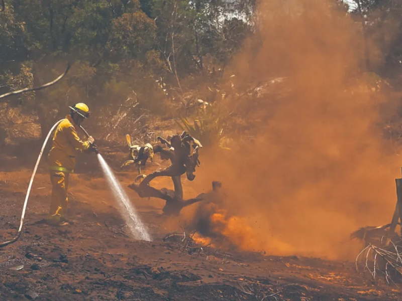 Incendios en Hawái temen encontrar más de 20 muertos diarios