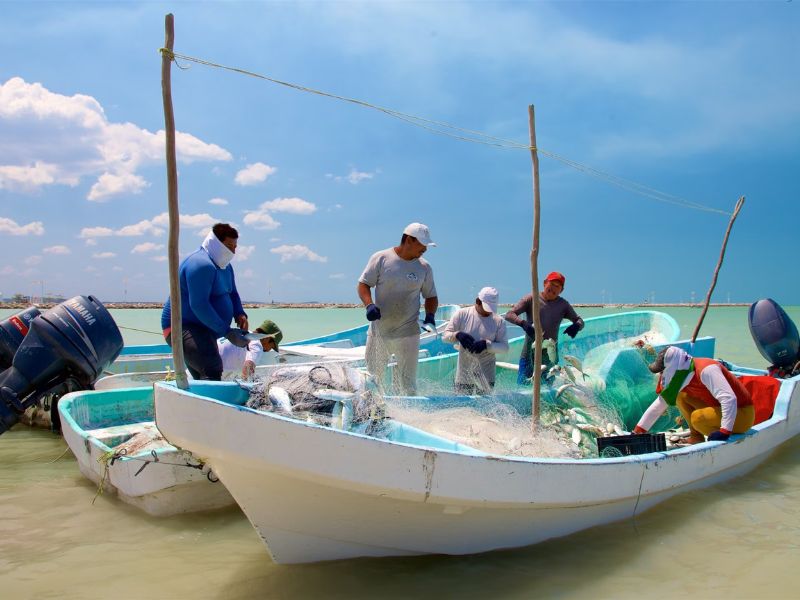 Pescadores Campeche.