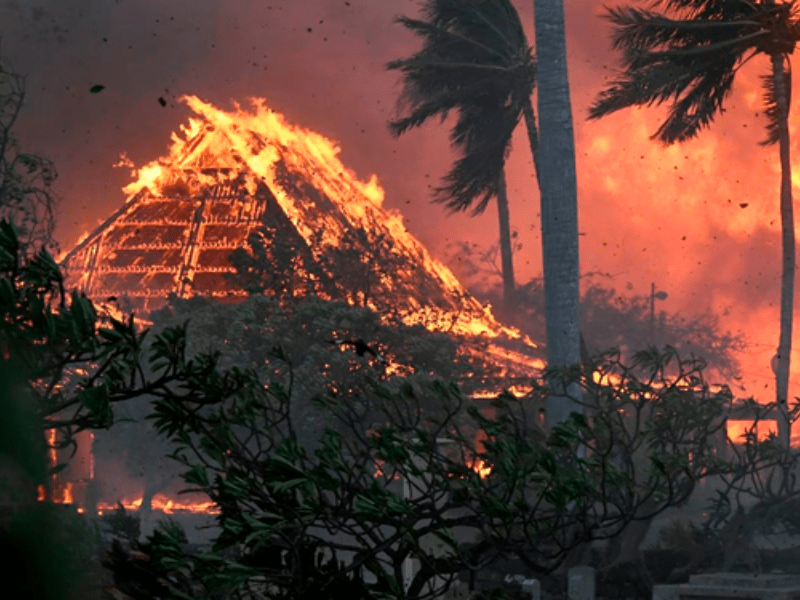 ¿Por qué los incendios forestales en Hawái son devastadores y mortales?