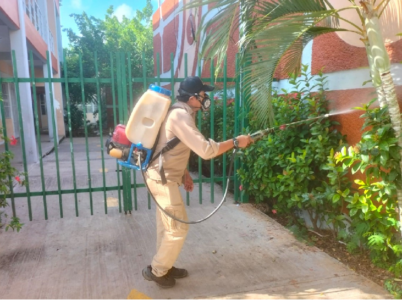 Se han confirmado 84 casos de dengue en Campeche