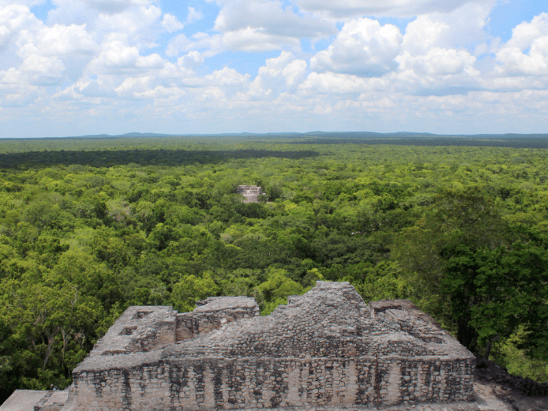 Amplirarán la Reserva Ecológica 'El Gran Calakmul' en Campeche