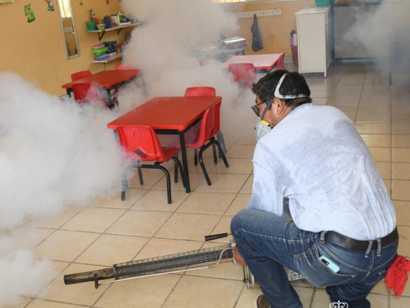 Autoridades descartan casas de dengue o Chikungunya en Carmen