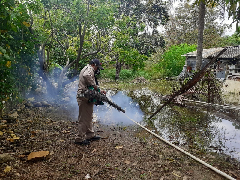 Combaten el dengue con mayor fuerza