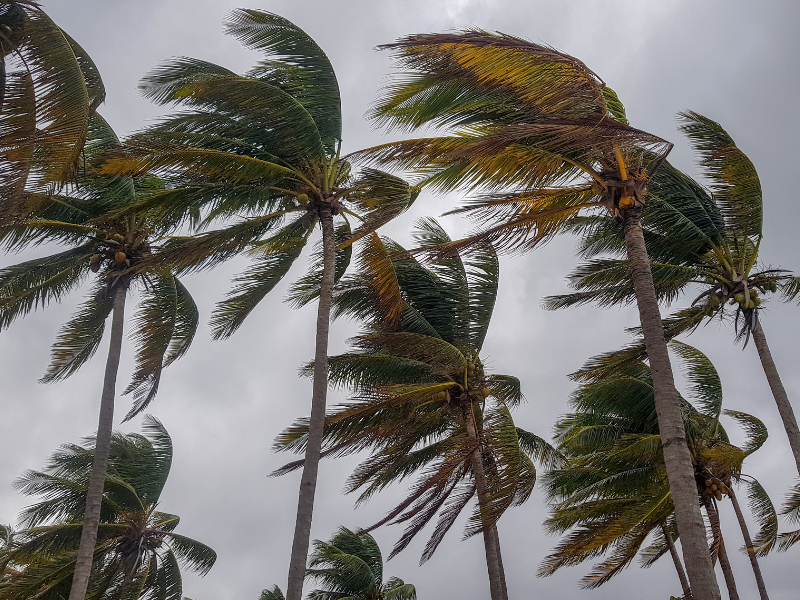 Evento Norte provocará fuertes vientos y lluvias puntuales en Campeche
