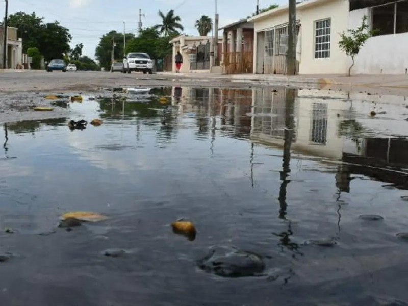 Denuncian contaminación en comida debido a aguas negras