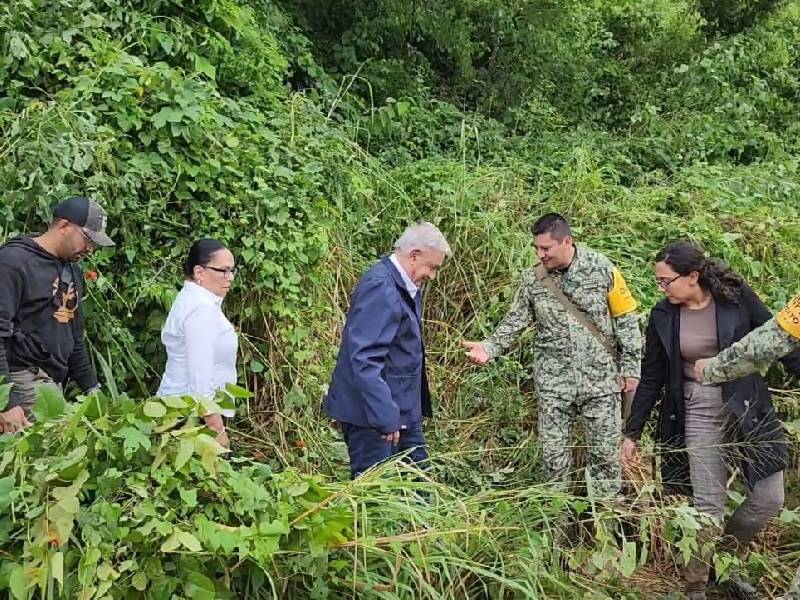 Celebra AMLO traslado por carretera hacia Acapulco